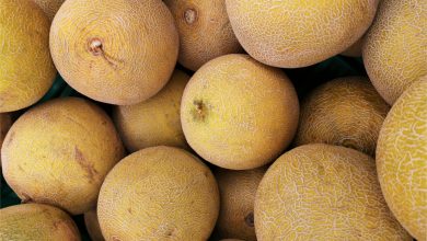 Canadá: Mueren 5 personas por salmonella vinculada a melones de México