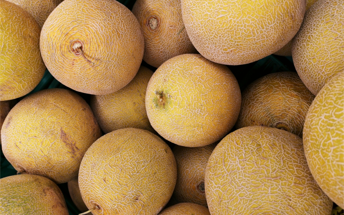 Canadá: Mueren 5 personas por salmonella vinculada a melones de México