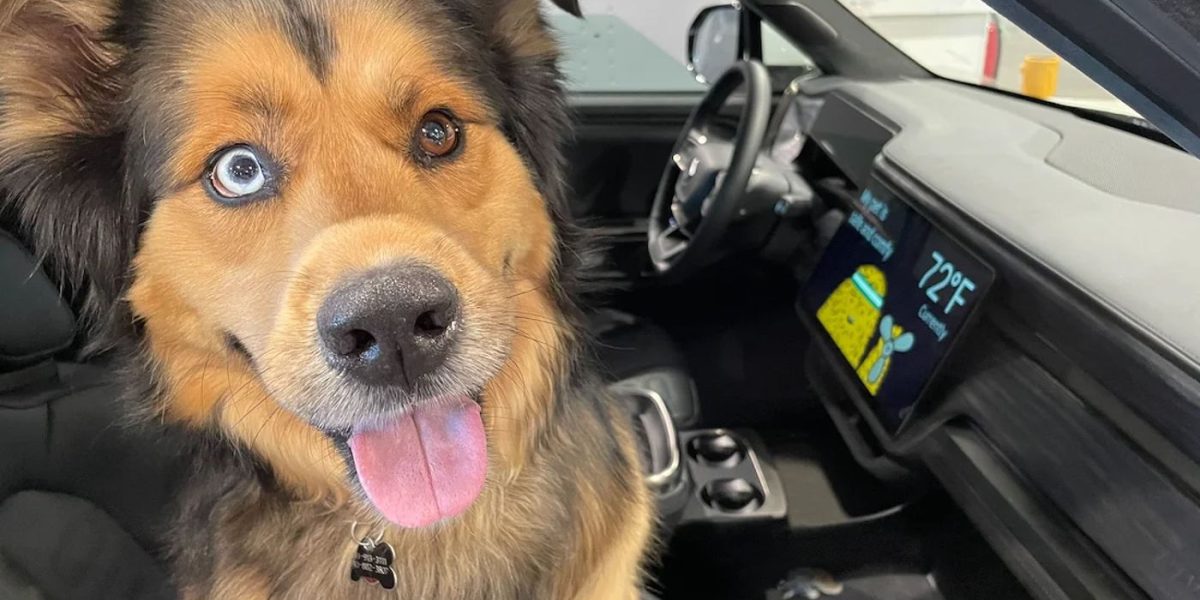 Cómo activar el modo Confort para mascotas en su Rivian EV