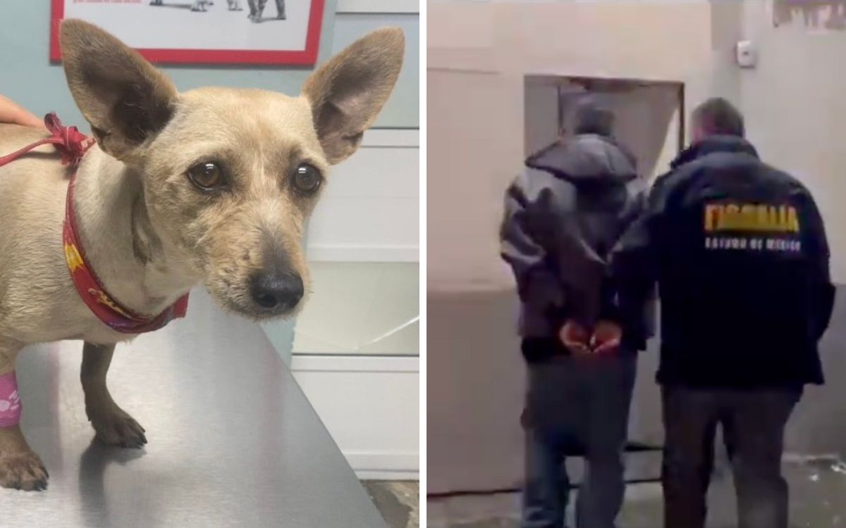 Edomex: Ingresa a prisión trabajador de limpieza por golpiza a 'Taquito'