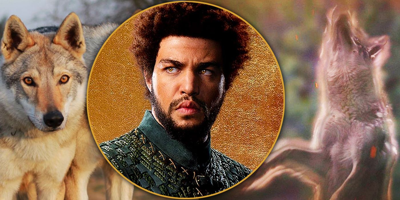 El actor de La rueda del tiempo Perrin explica la profundidad de su vínculo con el artista perro: “Realmente no se puede engañar a eso”