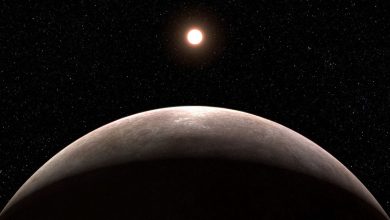 El primer exoplaneta confirmado por el telescopio Webb tiene el mismo tamaño que la Tierra