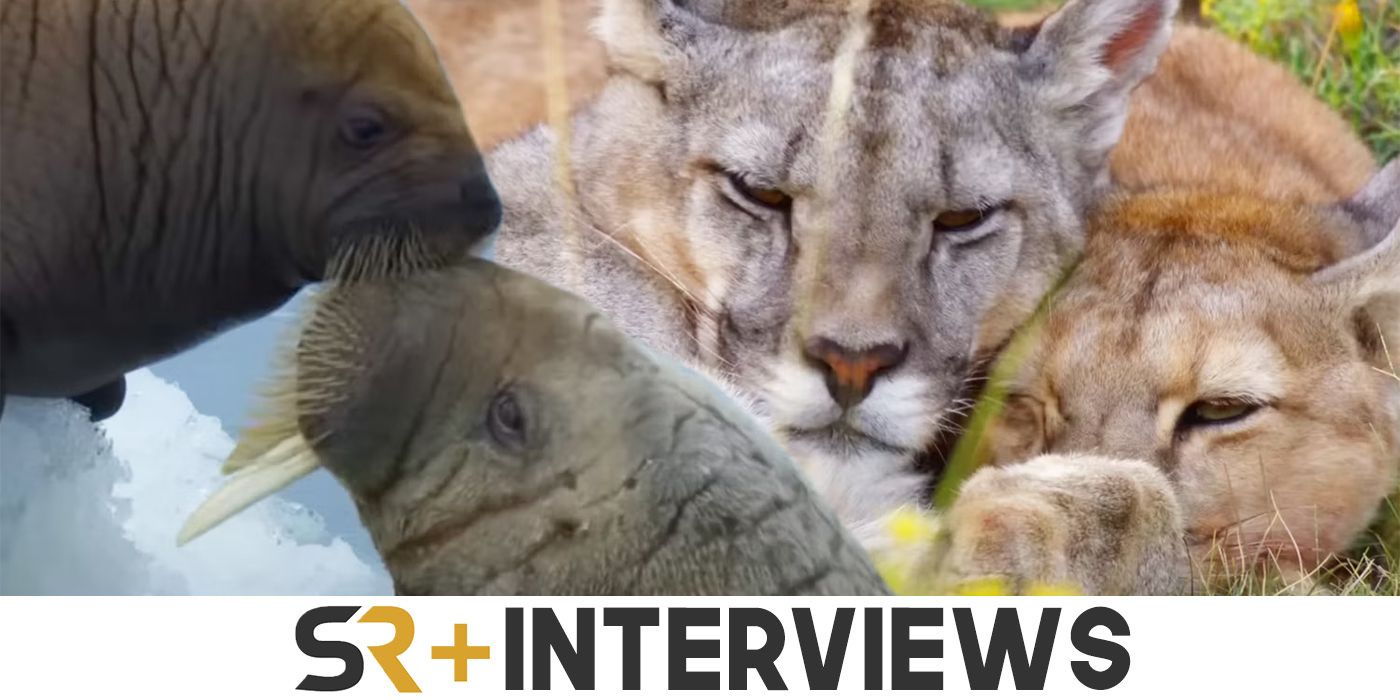 El productor de la serie Our Planet II habla sobre cómo hacer que los documentales sobre la naturaleza sean imprescindibles