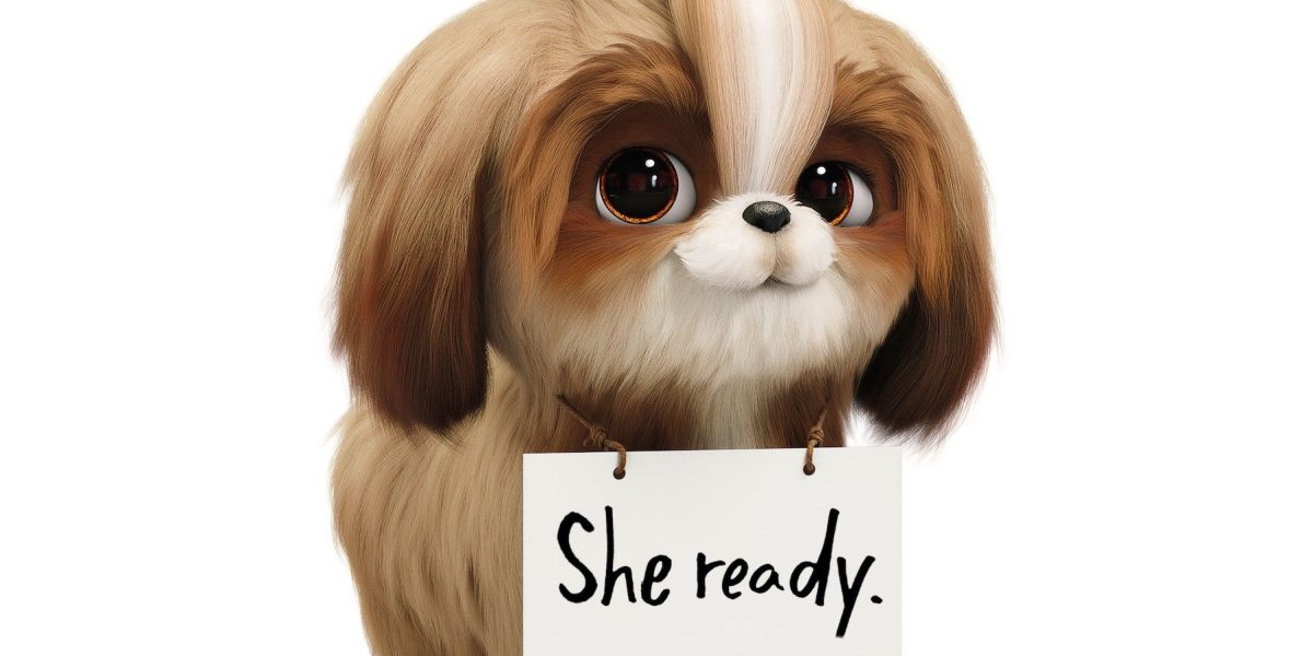 El tráiler de Secret Life Of Pets 2 presenta a Daisy de Tiffany Haddish