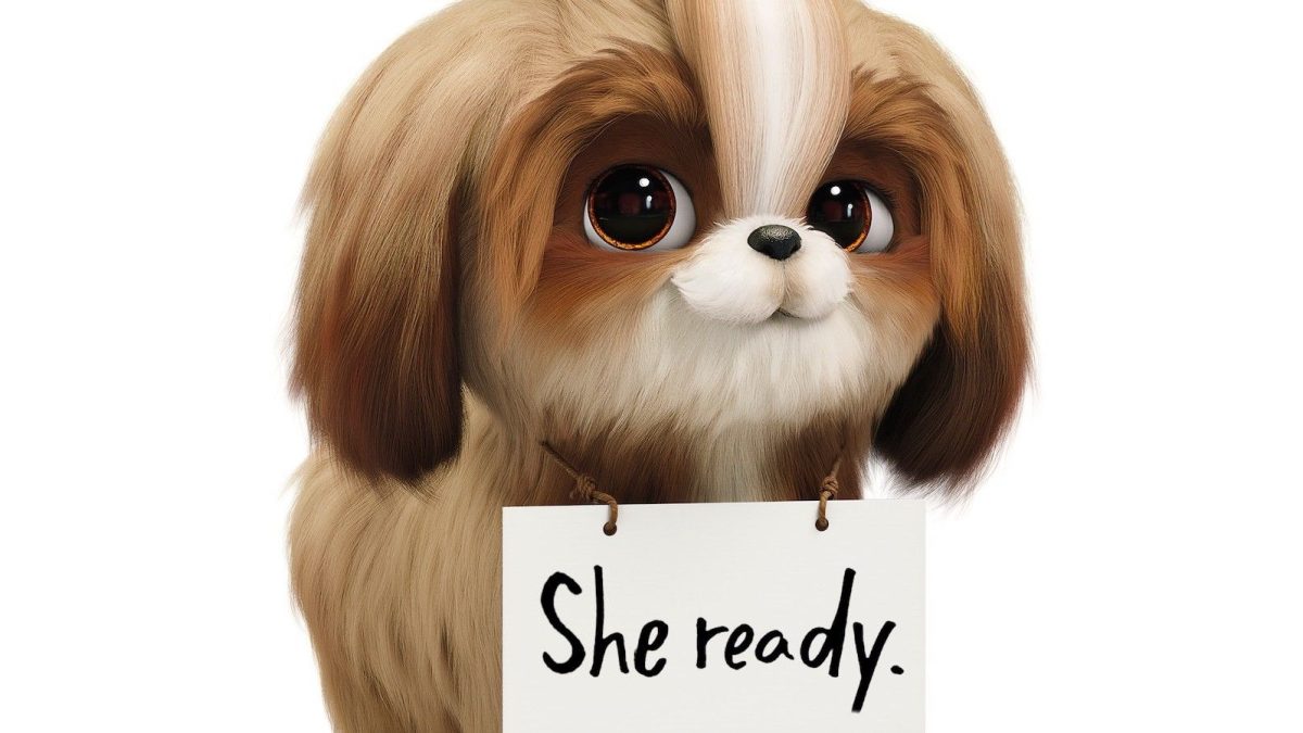El tráiler de Secret Life Of Pets 2 presenta a Daisy de Tiffany Haddish