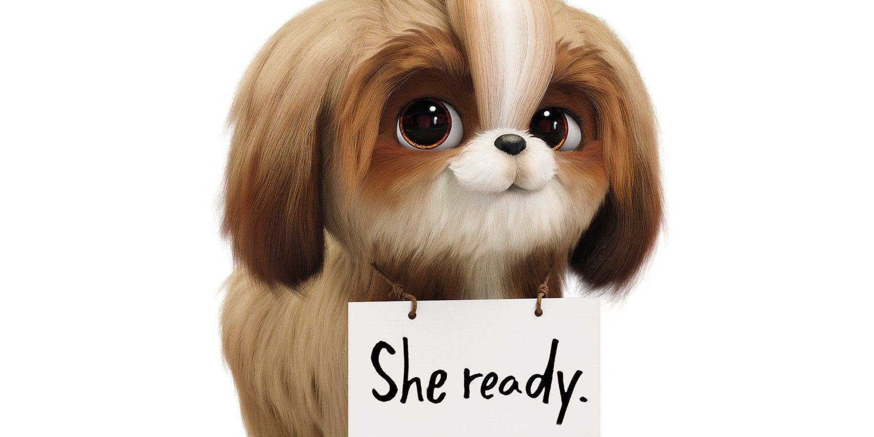 El tráiler de Secret Life Of Pets 2 presenta a Daisy de Tiffany Haddish