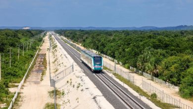 Gobierno expropia 113 terrenos más para construir Tren Maya
