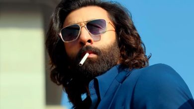 La controvertida película india es la tercera película de Bollywood de 2023 que supera un hito poco común en la taquilla mundial