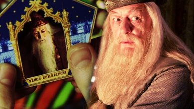 La teoría de Harry Potter explica por qué Dumbledore se preocupaba tanto por sus tarjetas de ranas de chocolate