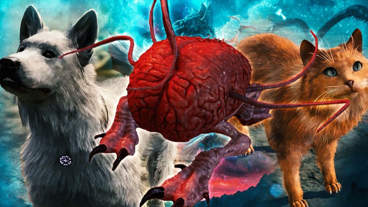 Las 10 mascotas más geniales de Baldur's Gate 3