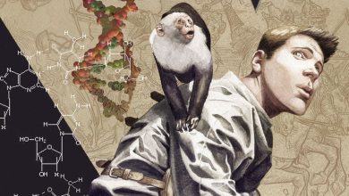 Los 10 volúmenes de Y: THE LAST MAN de Brian K. Vaughn y Pia Guerra, clasificados