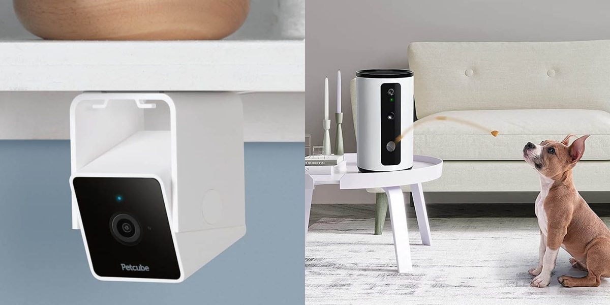 Los 12 mejores regalos de tecnología para mascotas en 2023