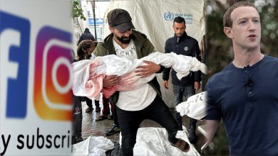 'Meta contribuye a borrar el sufrimiento de los palestinos': HRW