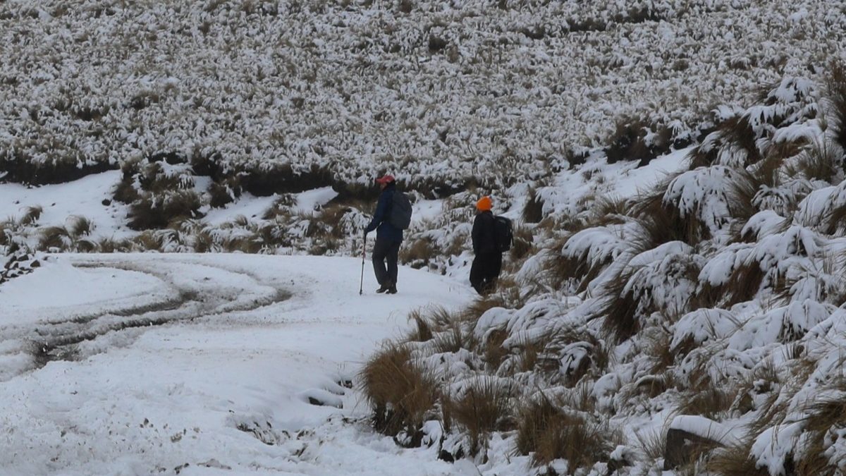 Prevén nevadas en 5 estados para Nochebuena