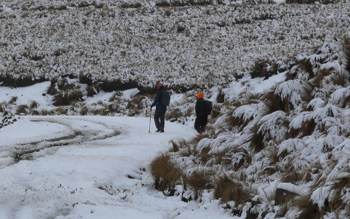 Prevén nevadas en 5 estados para Nochebuena