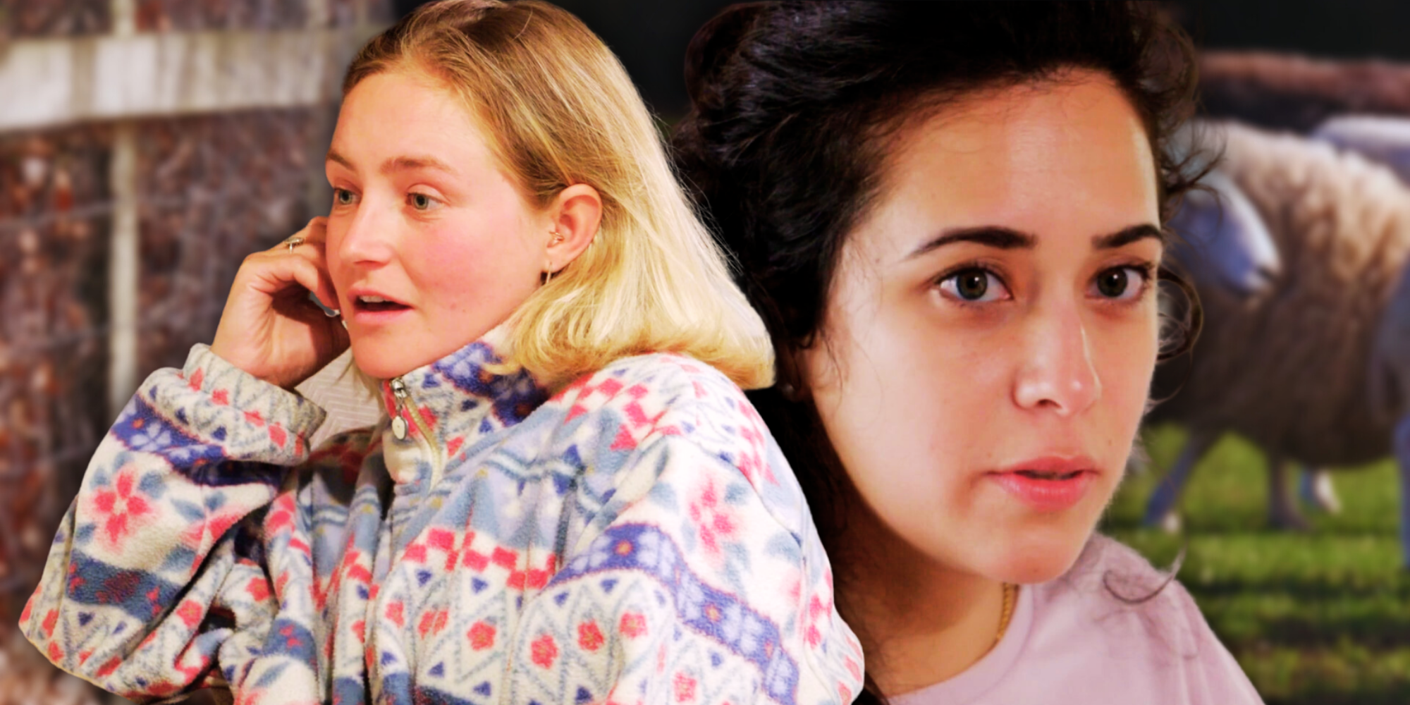 Prometido de 90 días: el avistamiento de un fan de Statler y Dempsey revela el estado actual de su relación