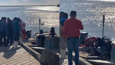 Tiburón muerde y mata a joven en Sonora