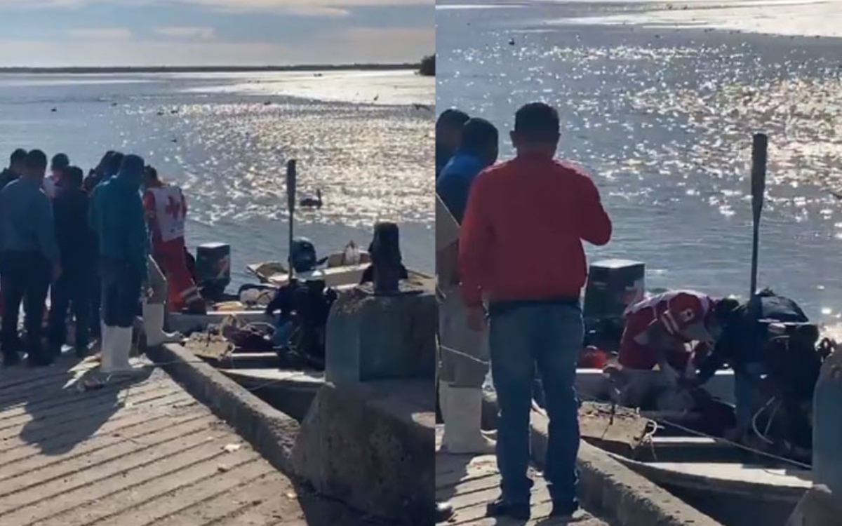 Tiburón muerde y mata a joven en Sonora