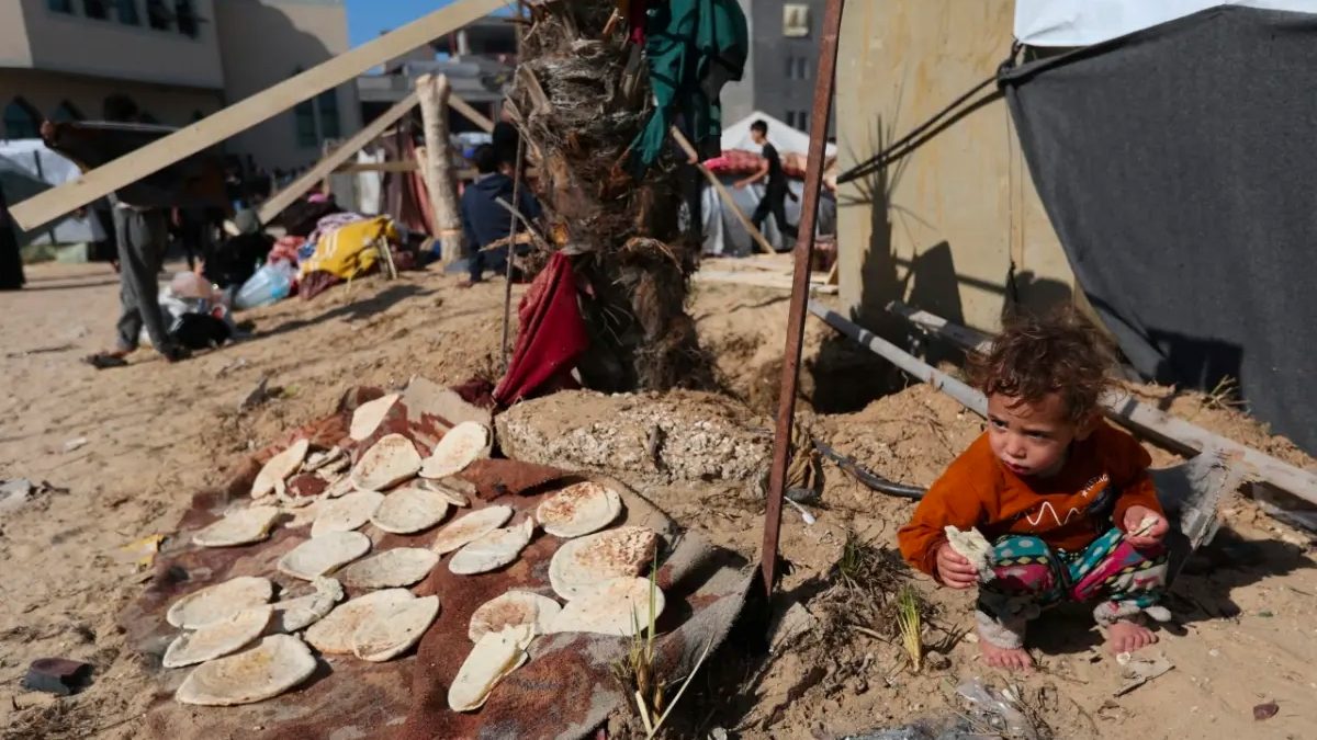 Toda la población de Gaza se encamina hacia una hambruna: ONU