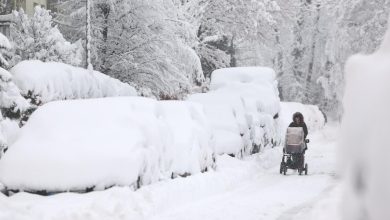 Tormenta de nieve causa estragos en Alemania; aeropuerto y transporte paralizado | Videos