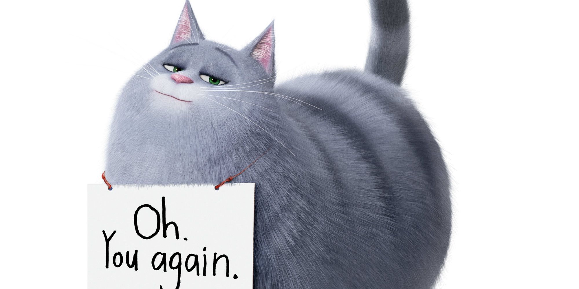 Tráiler de La vida secreta de tus mascotas 2: Chloe no puede soportar su hierba gatera