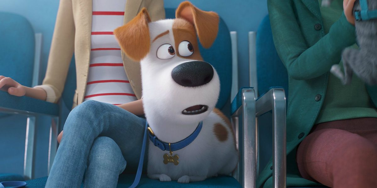 Tráiler de La vida secreta de tus mascotas 2: Max odia ir al veterinario