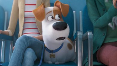 Tráiler de La vida secreta de tus mascotas 2: Max odia ir al veterinario
