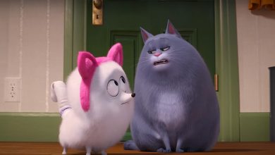 Tráiler de Secret Life of Pets 2: Gidget aprende a ser un gato