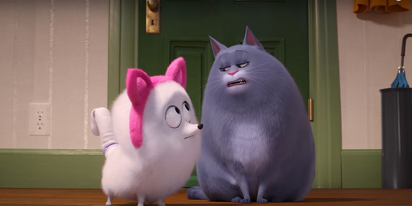 Tráiler de Secret Life of Pets 2: Gidget aprende a ser un gato