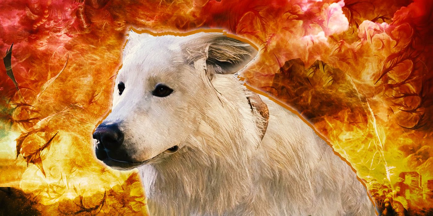 Una decisión de Bad Baldur's Gate 3 es en realidad la mejor opción