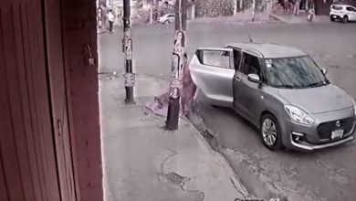 Video | Abandonan a perrito en Tlalpan en víspera navideña