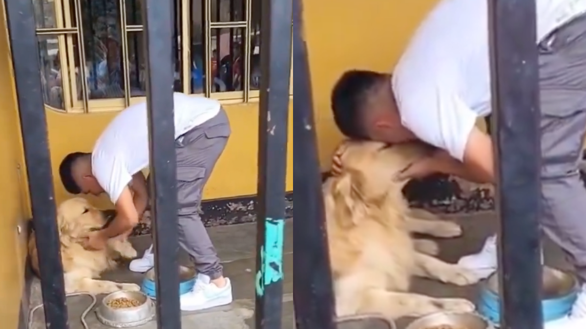 Video | Así fue la emotiva despedida entre nuevo jugador de Pumas y su perrito