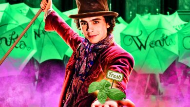 Wonka oficialmente certificado como fresco con tomates podridos, continúa la buena racha de Timothée Chalamet
