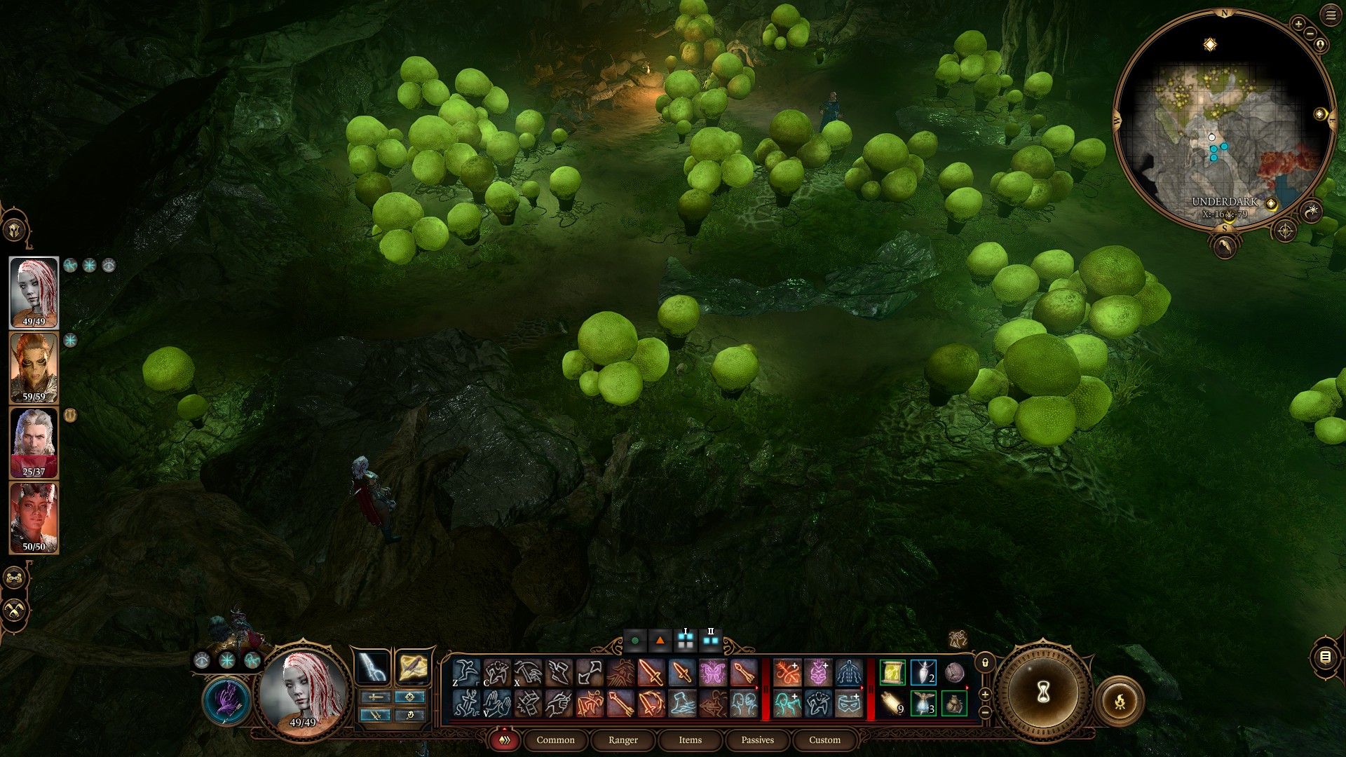 Un campo de hongos Bibberbang en Baldur's Gate 3.