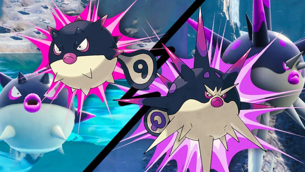 Cómo evolucionar a Hisuian Qwilfish en Overqwil en el DLC Pokémon Scarlet & Violet Indigo Disk