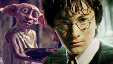 Las películas de Harry Potter arreglaron la escena más tonta de la Cámara Secreta (y el remake de Max también debería hacerlo)