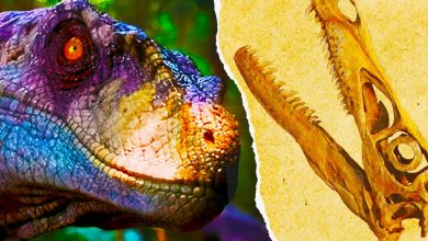 9 dinosaurios de Jurassic Park que eran tremendamente inexactos en comparación con la vida real