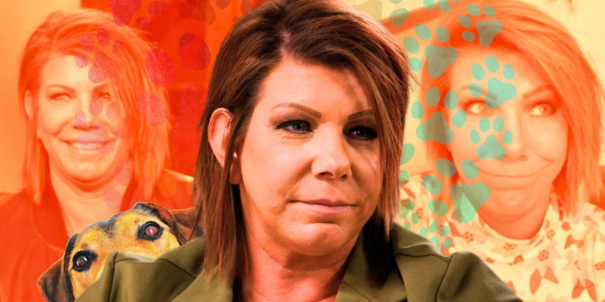 Esposas hermanas: Meri adoptó un bebé peludo llamado Zona (su nueva mascota la amará más que Kody)