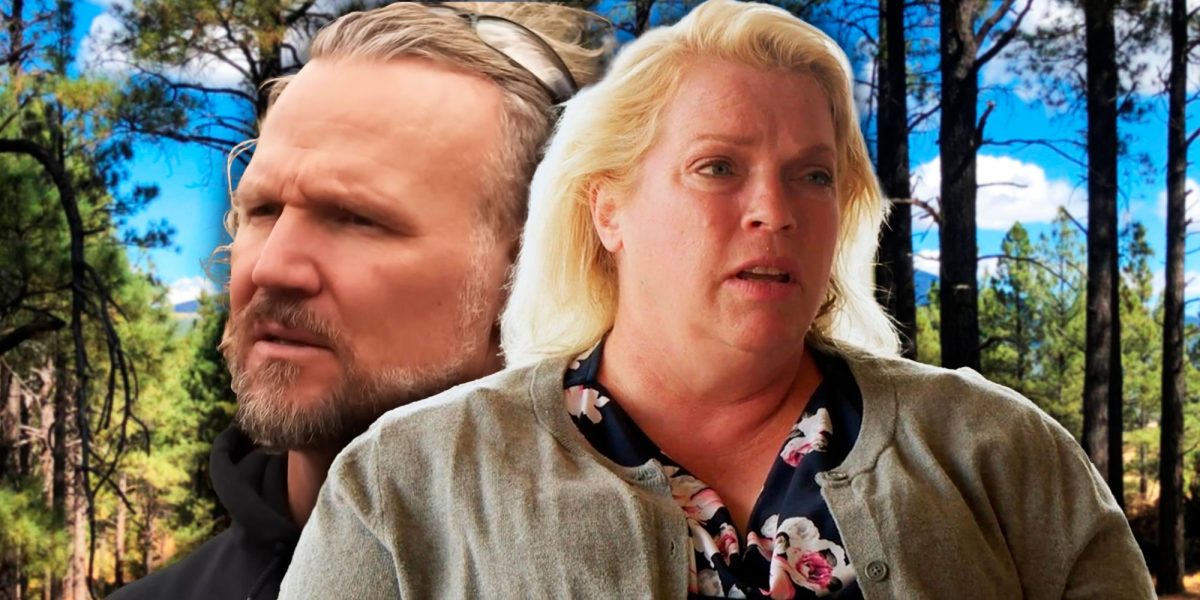 Janelle Brown, de Sister Wives, se niega a llamarse divorciada por esta extraña razón