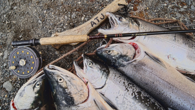 Bruselas acusa a seis empresas noruegas de formar el 'cártel' del salmón atlántico