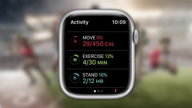 Calorías totales en Apple Watch: qué significan y dónde verlas