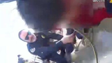 Cámara muestra el rescate de niño atrapado en un estanque congelado