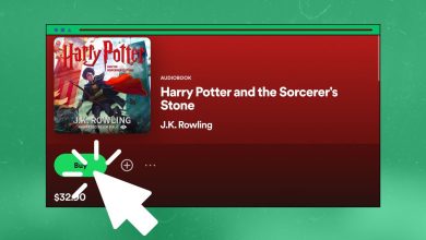 Cómo comprar y escuchar audiolibros en Spotify