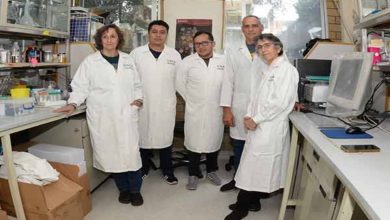 Desarrollan molécula que reduce tumores y metástasis de cáncer de mama