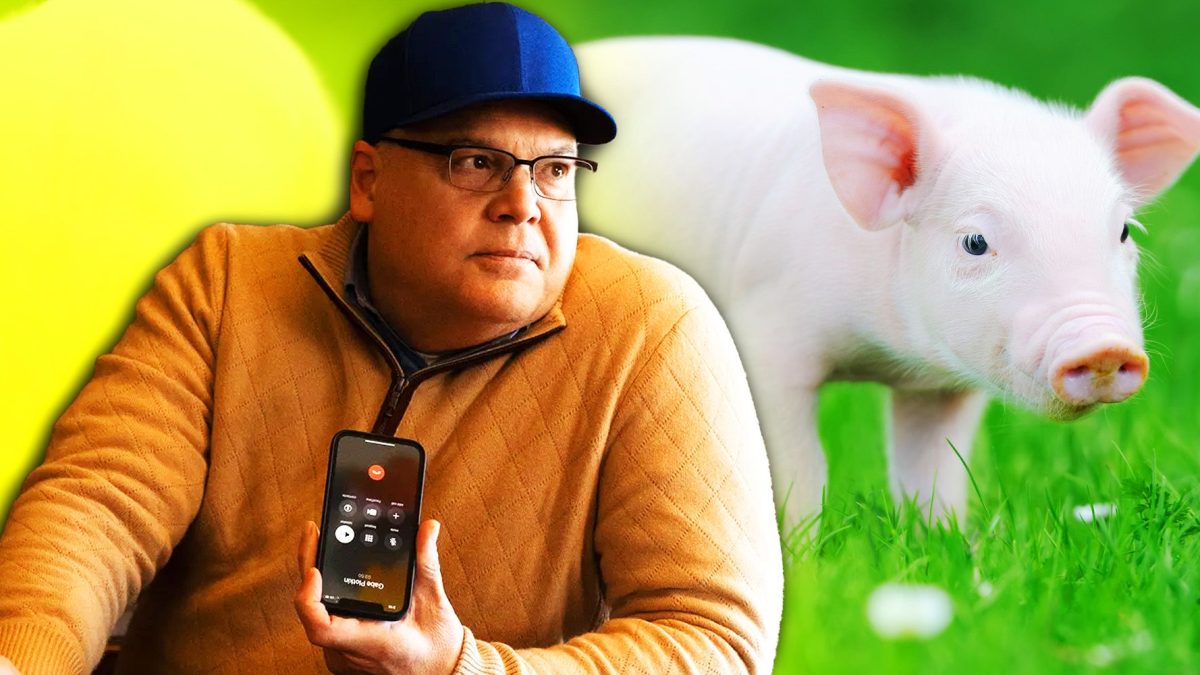 Dinero tonto: ¿Steve Cohen realmente tiene un cerdo como mascota?