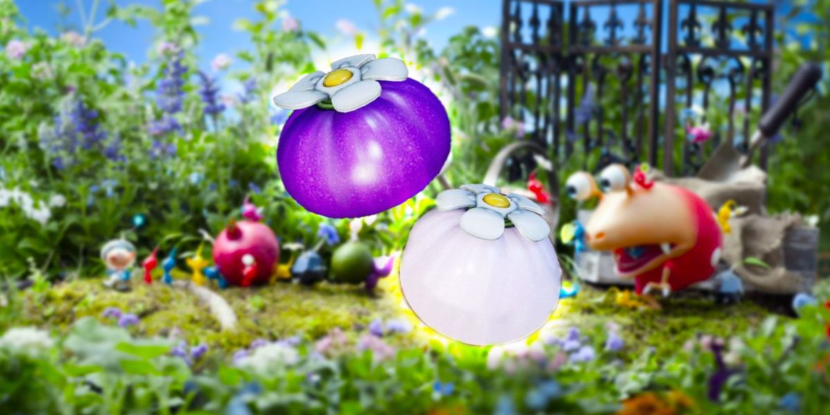 Dónde encontrar cebollas moradas y blancas en Pikmin 4