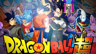 El verdadero jefe final de Dragon Ball Super será un héroe más fuerte que Beerus - Teoría