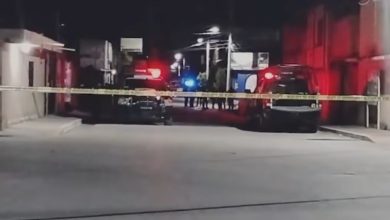 En Zacatecas perros intentaban devorar partes humanas abandonadas en la calle
