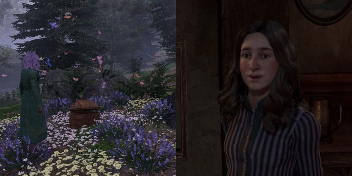 Hogwarts Legacy: sigue la guía de búsqueda de mariposas