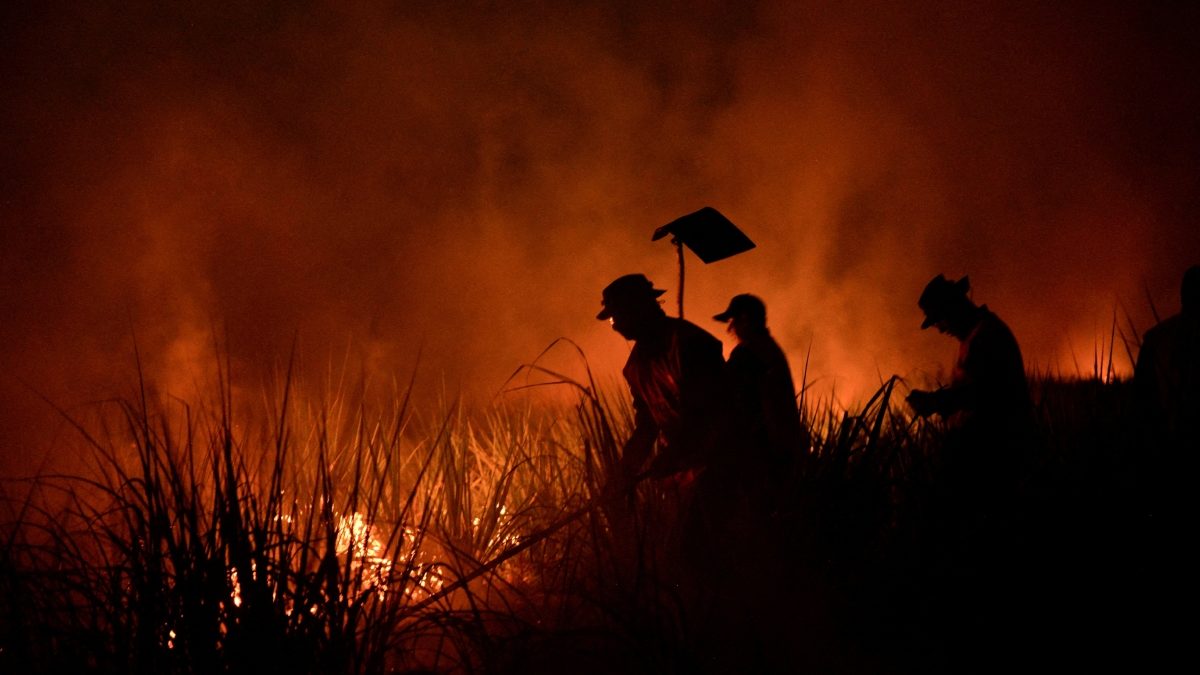 Incendios en Amazonía cayeron 10.8% en 2023 pese a histórica sequía